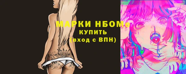 индика Армянск
