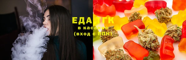 индика Армянск