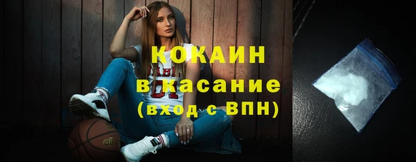 индика Армянск